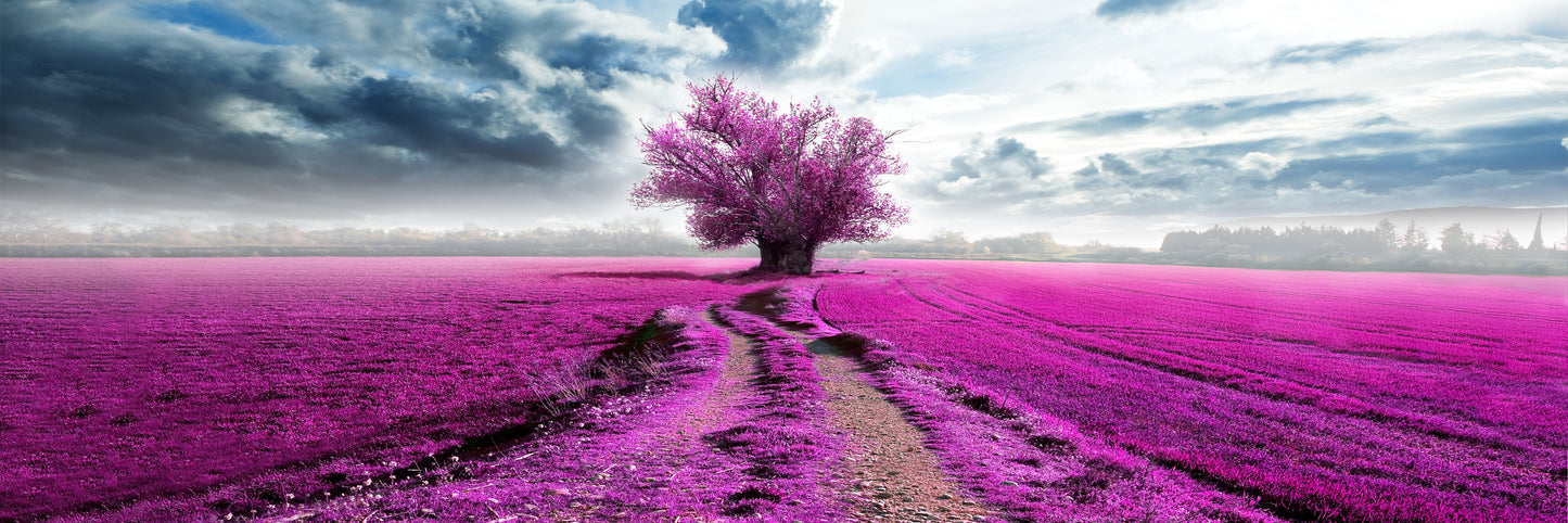 PANORAMA17 - DREAMVIOLETTREE-XXL-LEINWANDBILDER-WOLKEN-BAUM-ROSA-VIOLETT-BLAU-PANORAMA