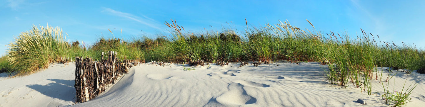PANORAMA96 XXL - LEINWANDBILDER-PANORAMA-UFER-OSTSEE-NORDSEE-SYLT-STRAND-SAND-GRUEN-BLAU-FUSSABDRUECKE
