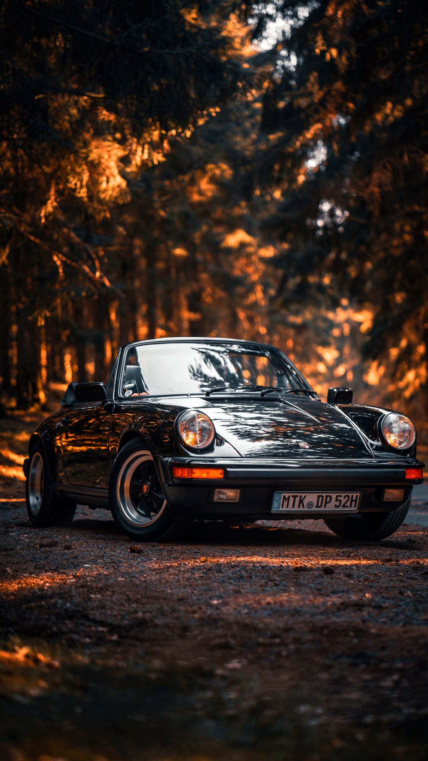 X746 - XXXL LEINWANDBILDER INKLUSIVE HOLZRAHMEN - Porsche 911 Sportwagen Schwarzes Auto Wald AutoLiebhaber LuxusAuto Natur FahrzeugFotografie