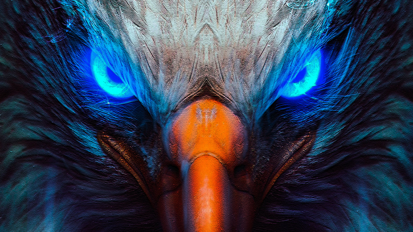 X777 - XXXL LEINWANDBILDER INKLUSIVE HOLZRAHMEN Adler Blaue Augen Vögel Naturfotografie Wildlife Tierwelt Raubvögel Vogelbeobachtung Natur Tiere