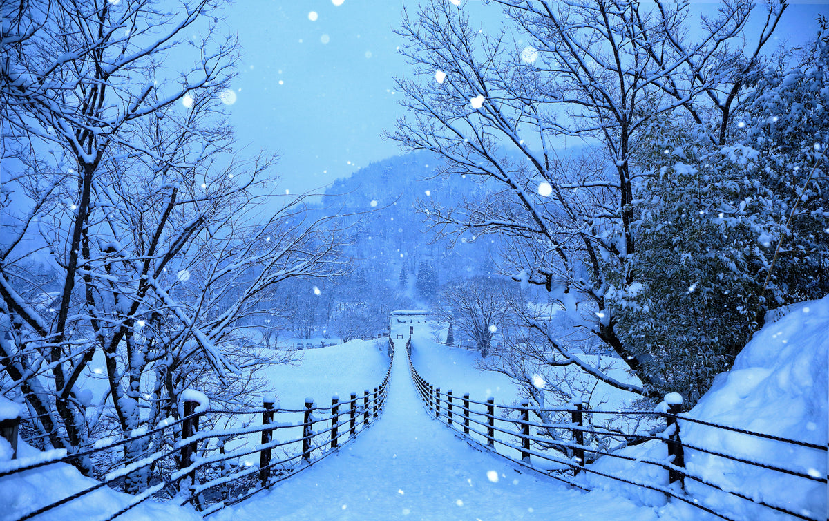 XXL LEINWANDBILDER WINTER STRASSE JAPAN