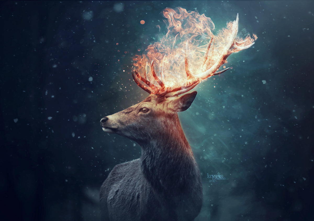 XXL Leinwandbilder Hirsch Feuer Geweih
