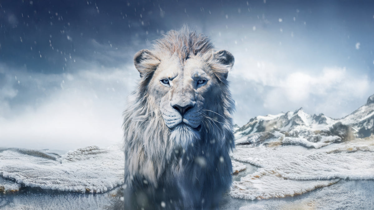 XXL Leinwandbilder Löwe Eissturm Kiros In Mufasa The Lion King