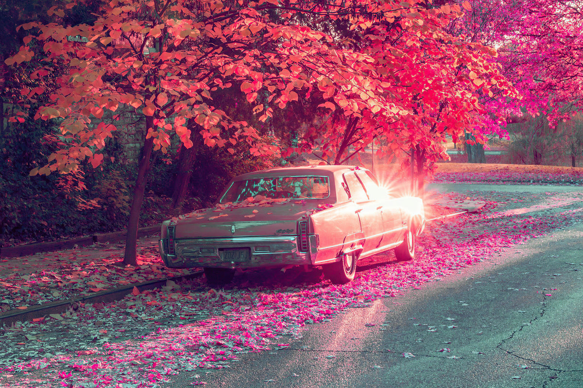 XXL Leinwandbilder Vintage Auto parkt unter den pinken Herbstbäumen