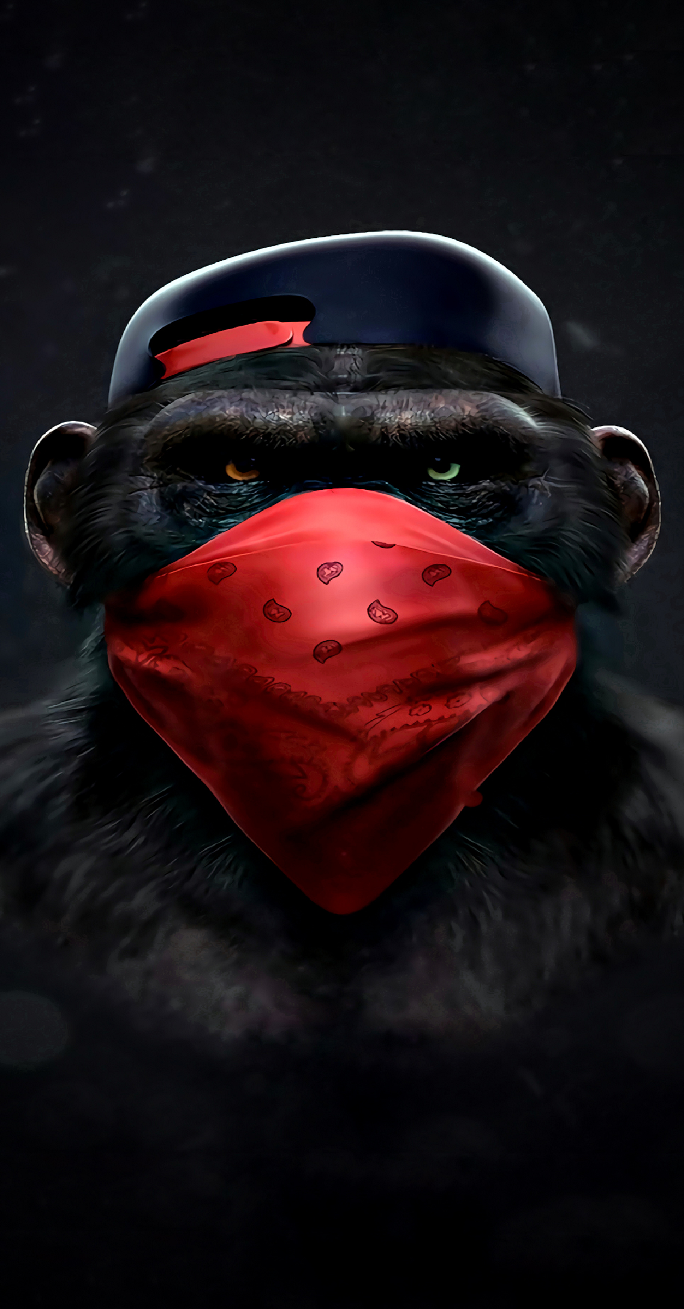 x542 XXL Leinwandbilder Affen Bandana Mütze 2 Augenfarben Tiere Cool Lustig Schwarz Rot Kappe Badboy - MEGA XXXL 160X90 CM Leinwandbilder inkl. Holzrahmen
