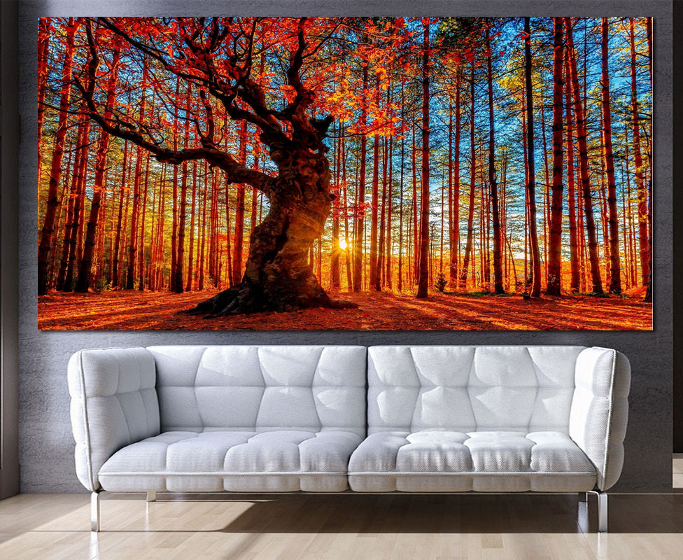 MEGA XXXL 160X90 CM Leinwandbilder inkl. Holzrahmen W27 ORANGE WOODS