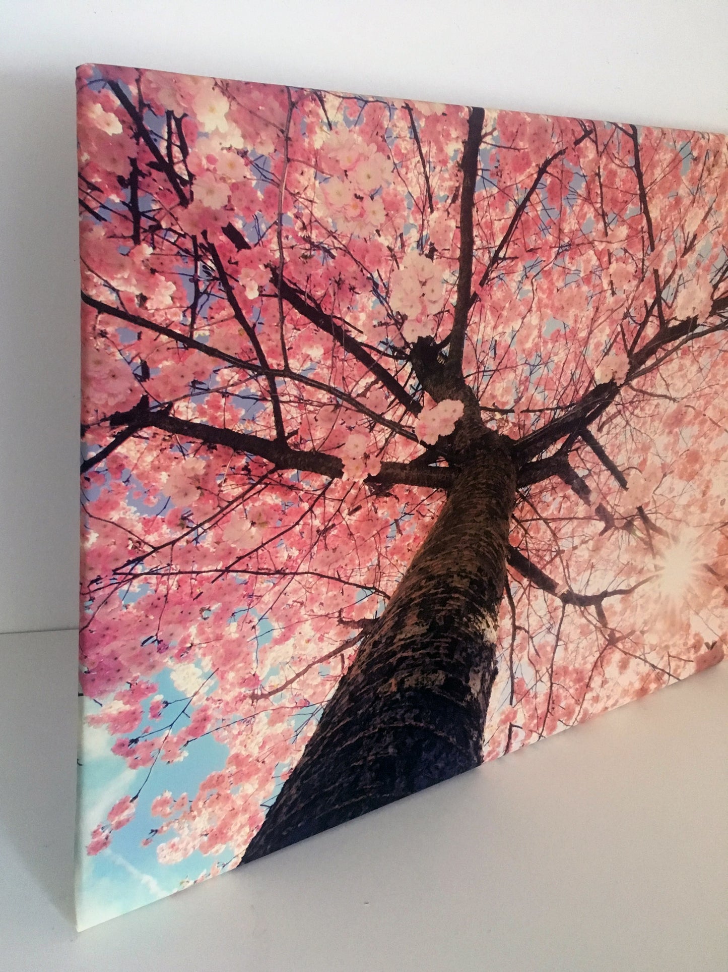 L78 - MEGA XXXL 160X90 CM Leinwandbilder inkl. Holzrahmen - KIRSCH BLÜTEN BAUM NATUR ROSA BRAUN