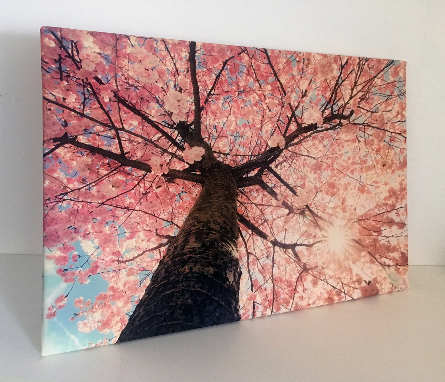 L78 - MEGA XXXL 160X90 CM Leinwandbilder inkl. Holzrahmen - KIRSCH BLÜTEN BAUM NATUR ROSA BRAUN
