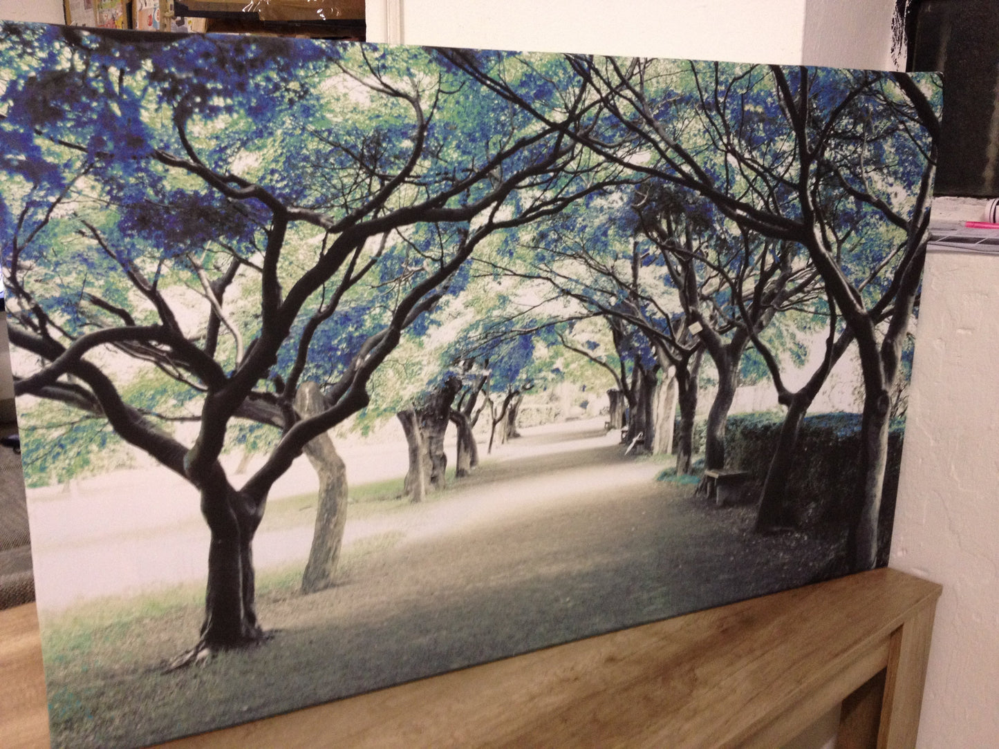 MEGA XXXL 160X90 CM Leinwandbilder inkl. Holzrahmen L68 TÜRKIS WALD