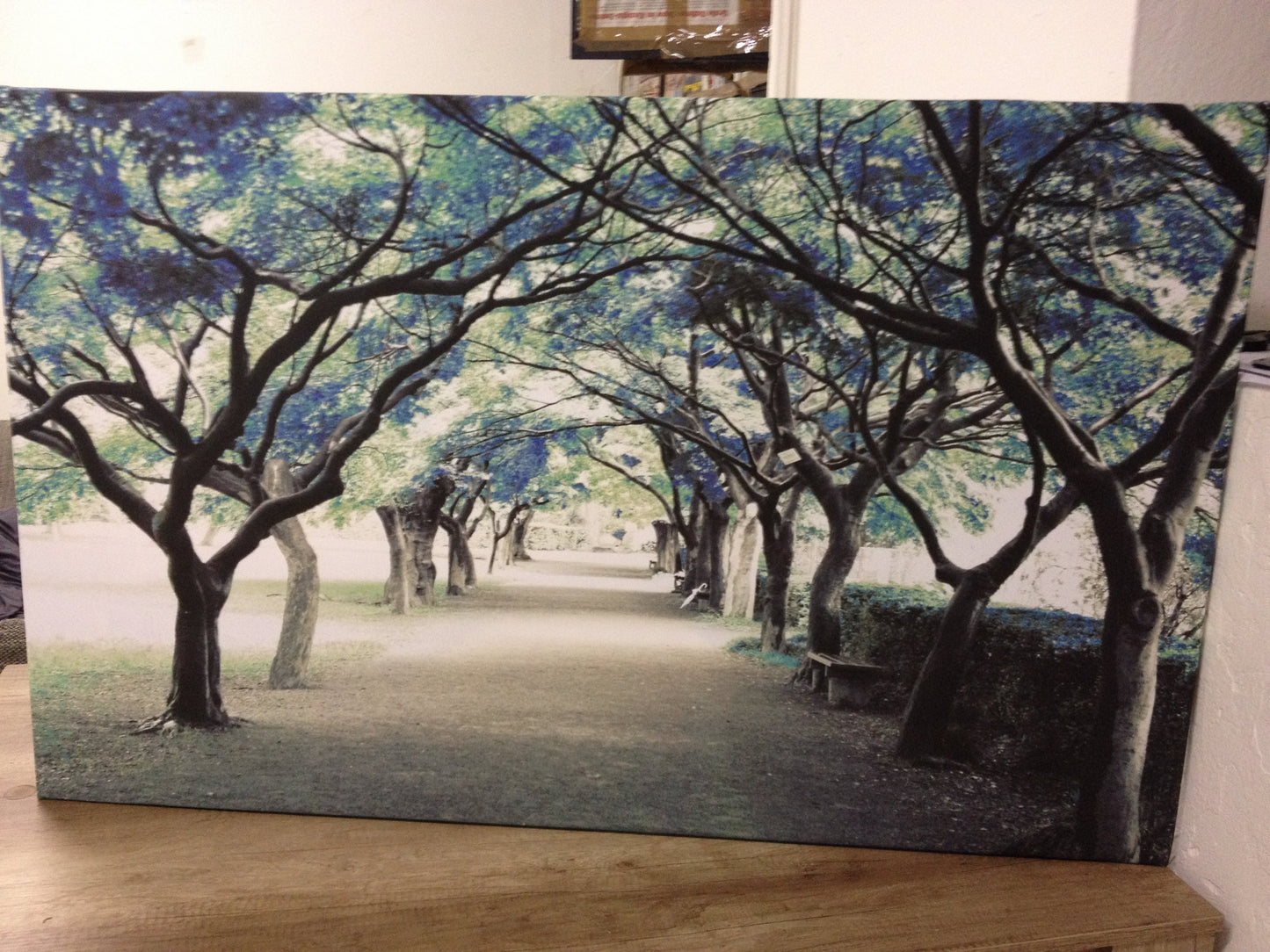 MEGA XXXL 160X90 CM Leinwandbilder inkl. Holzrahmen L68 TÜRKIS WALD