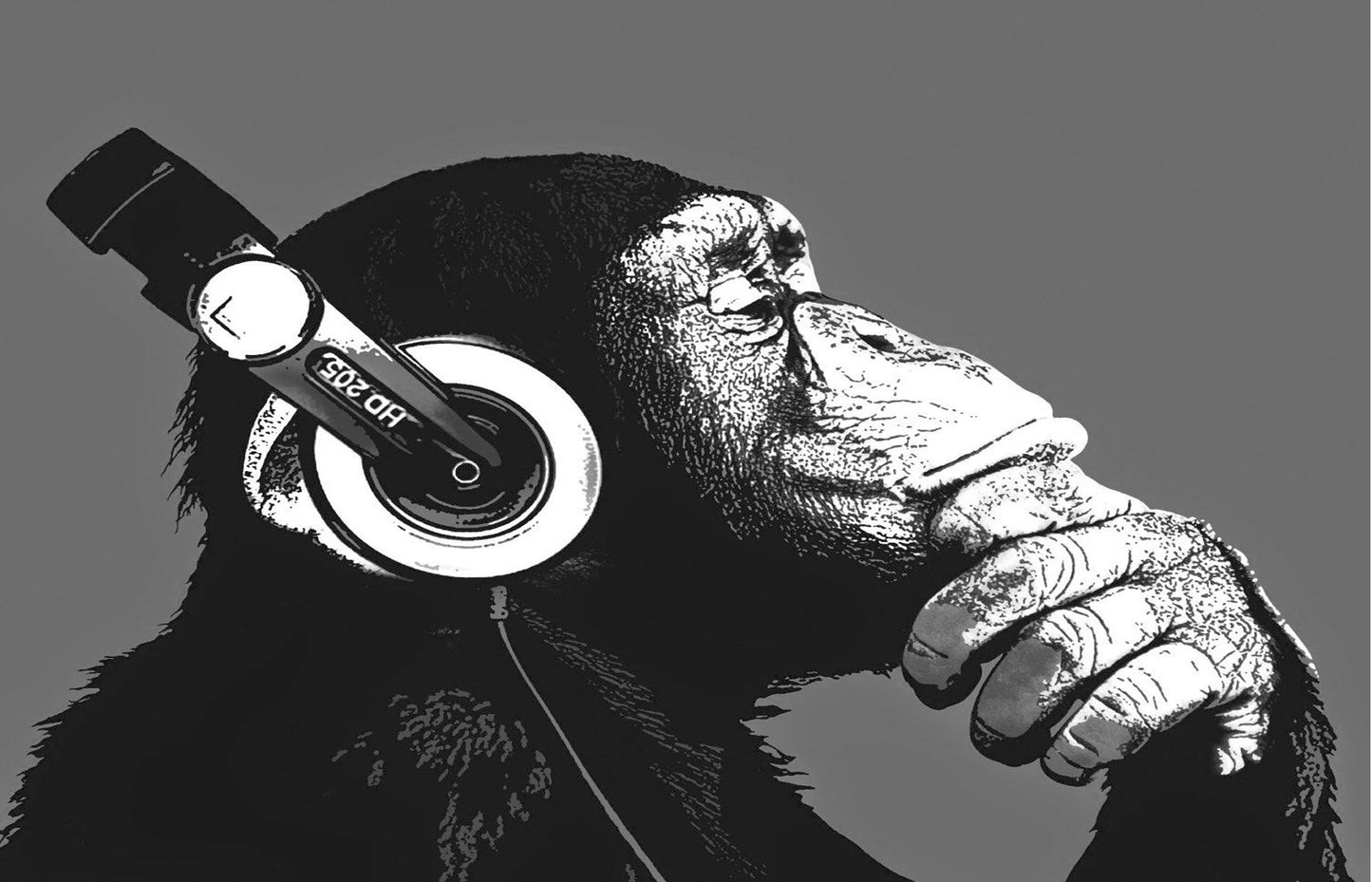 W6 - MEGA XXXL 160X90 CM Leinwandbilder inkl. Holzrahmen - AFFENLÄRM KOPFHÖRER SCHWARZ WEISS MUSIK TIERE
