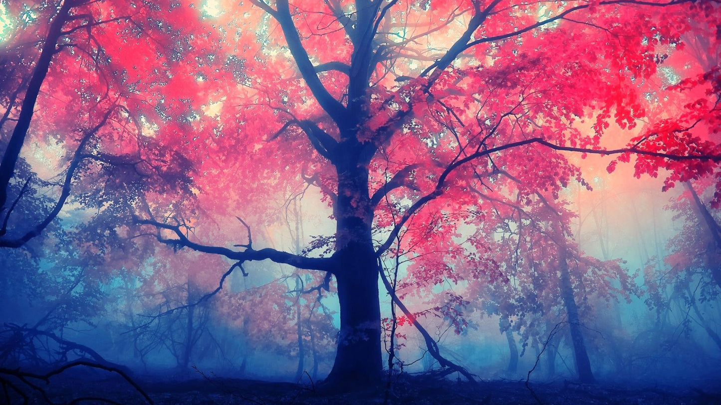 X222 - MEGA XXXL 160X90 CM Leinwandbilder inkl. Holzrahmen - Blasse Farben Rot Blau Lichtung Blätter Natur