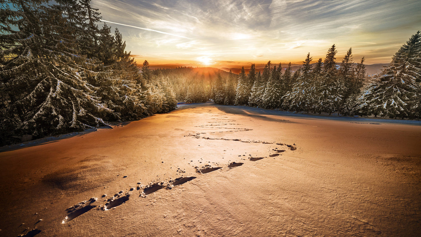 X278 - MEGA XXXL 160X90 CM Leinwandbilder inkl. Holzrahmen - Fußspuren im Winter Wald