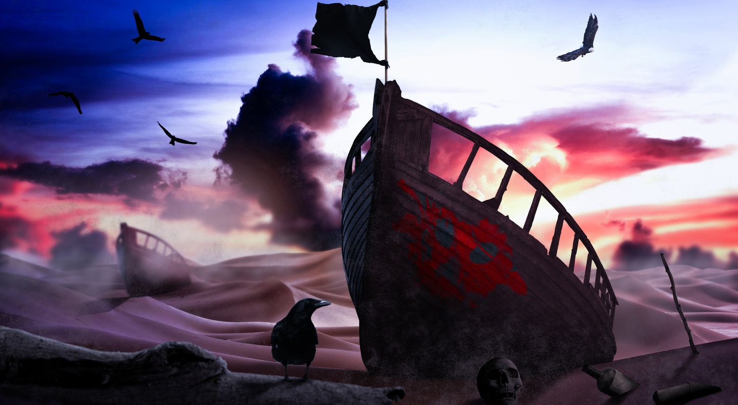 X29 - MEGA XXXL 160X90 CM Leinwandbilder inkl. Holzrahmen - Schiff Wüstenvögel