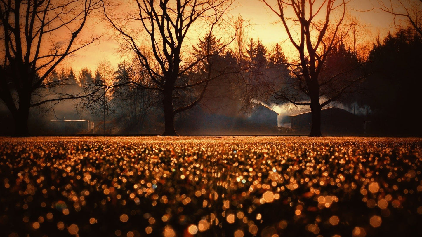 X315 - MEGA XXXL 160X90 CM Leinwandbilder inkl. Holzrahmen - Orange bezaubernde Idylle im Herbst Blätter