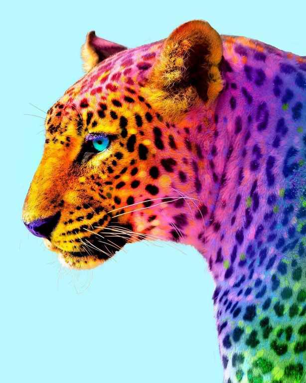 X503 - MEGA XXXL 160X90 CM Leinwandbilder inkl. Holzrahmen - Wildkatze Neon Farben