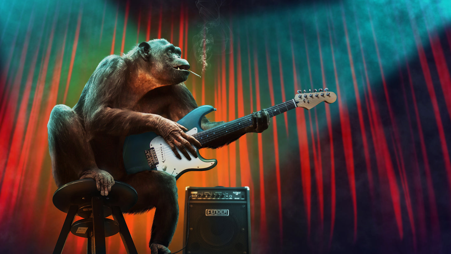 X85 - MEGA XXXL 160X90 CM Leinwandbilder inkl. Holzrahmen Gorilla Affe Gitarre Musik