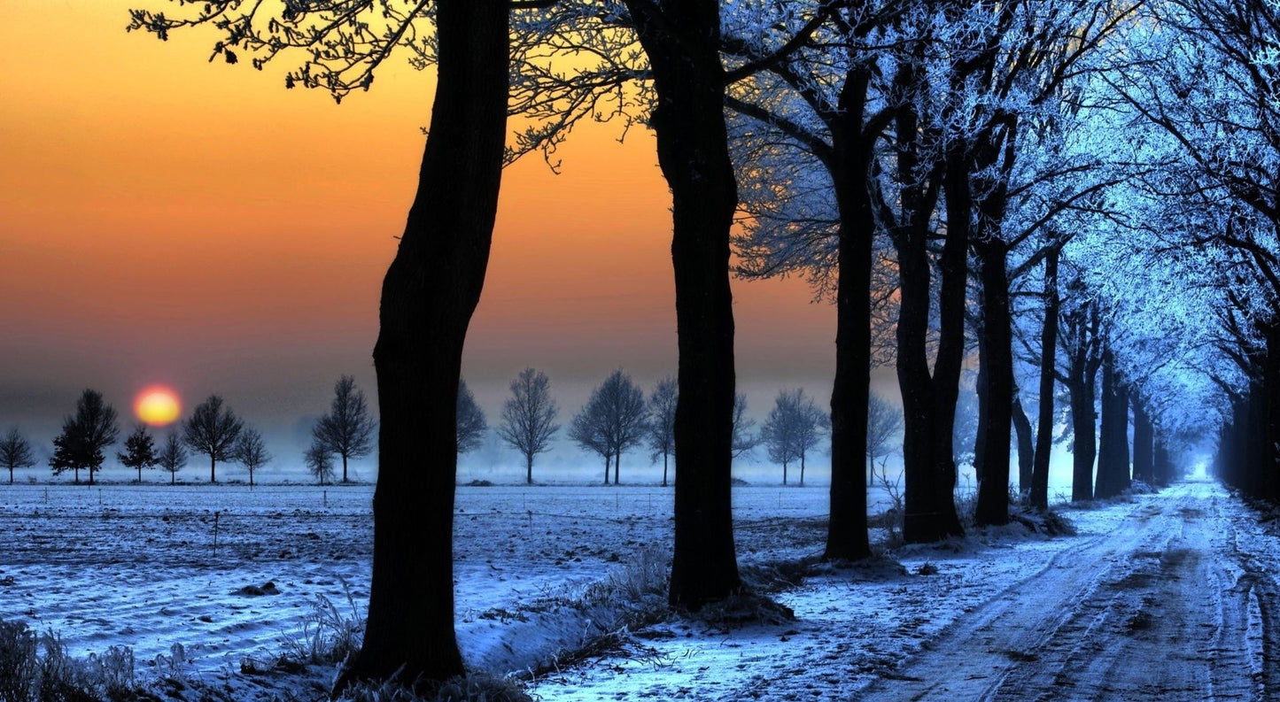 X96 - - MEGA XXXL 160X90 CM Leinwandbilder inkl. Holzrahmen Baum Wald Winter Eis Schnee Abend Dämmerung Blau Orange