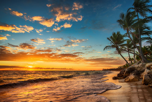 l295 MEGA XXXL 160X90 CM Leinwandbilder inkl. Holzrahmen Natur Pflanzen Blumen Palmen Abendsonne Sonnenuntergang Horizont Strand