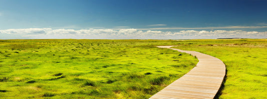 PANORAMA70 - XXL-LEINWANDBILDER-PANORAMA-STEG-UFER-WASSER-GRUEN-BLAU-MEER-OZEAN-SEE-NATUR-SYLT