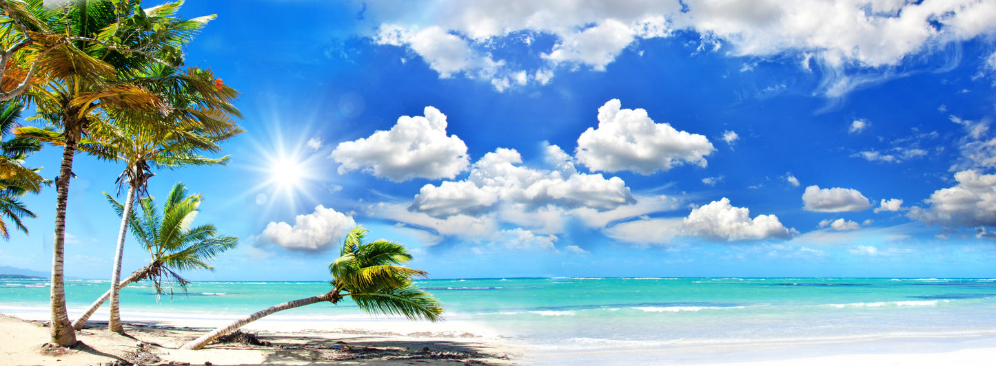 PANORAMA91 XXL - LEINWANDBILDER-PANORAMA-UFER-SEE-OZEAN-MEER-BLAU-PALMEN-HIMMEL-WOLKEN-GRUEN-SONNE-WASSER-STRAND