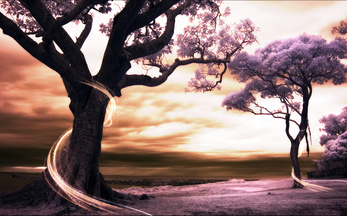 X728 - XXXL LEINWANDBILDER INKLUSIVE HOLZRAHMEN - Infrarotfotografie Bäume Himmel Naturfotografie Landschaftsfotografie Kunstfotografie Fotografie Farbenspiel Baumliebe Wald