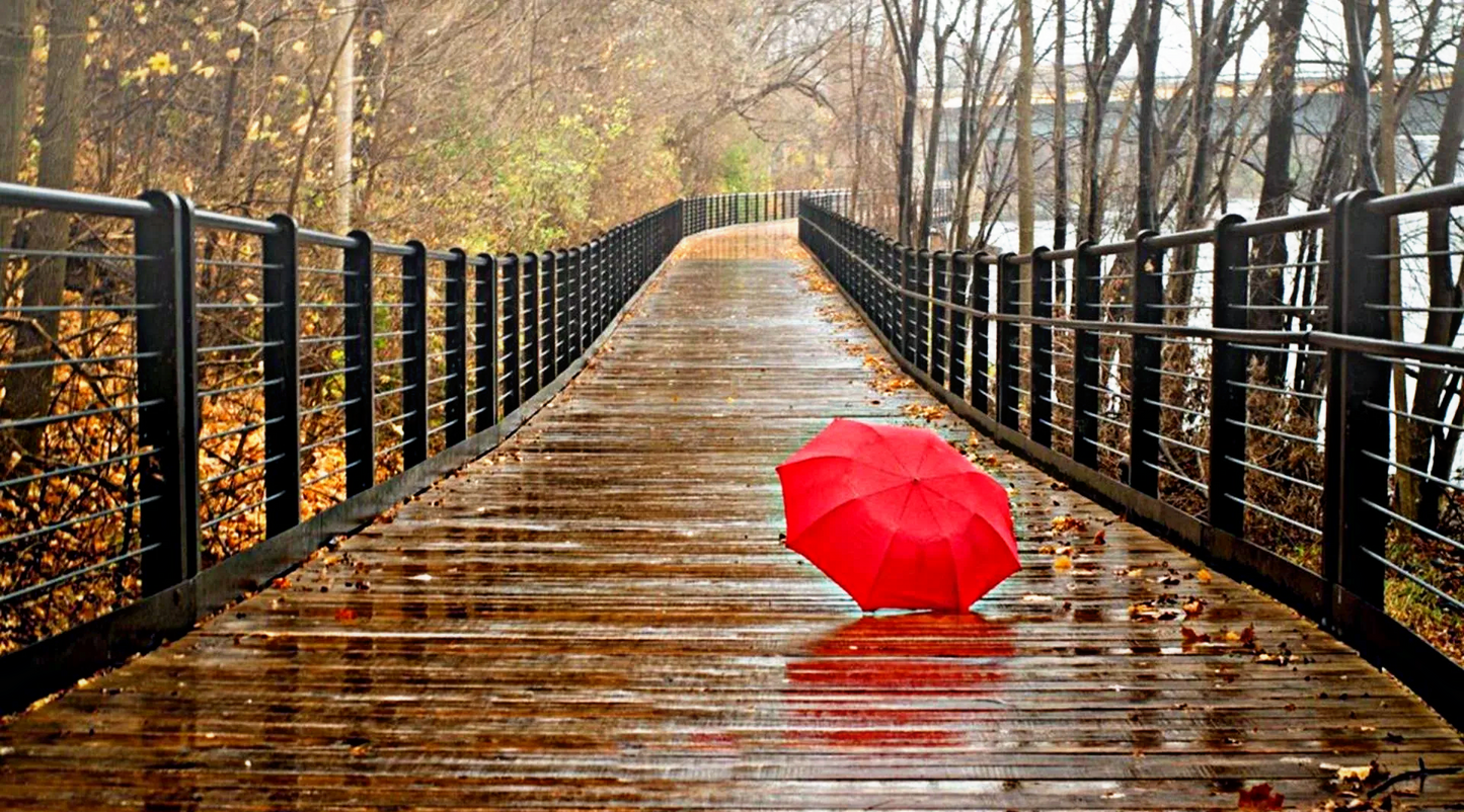 X743 - XXXL LEINWANDBILDER INKLUSIVE HOLZRAHMEN - roter Regenschirm nasser Weg Regentage Herbststimmung Stadtleben Wetterfotografie Farbenfroh Natur und Stadt FotografieLiebe