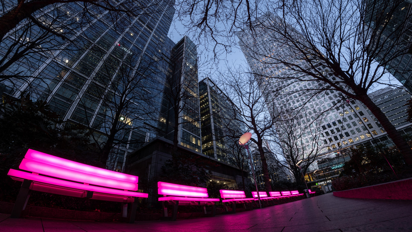 X826 - XXXL LEINWANDBILDER INKLUSIVE HOLZRAHMEN - Magenta LED Licht Nashville USA Strasse Gebäude Baum