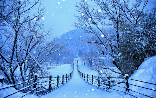 XXL LEINWANDBILDER WINTER STRASSE JAPAN