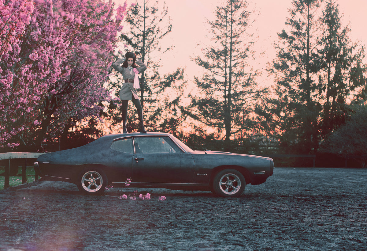 XXL Leinwandbilder Lana Del Rey Purple Mustang