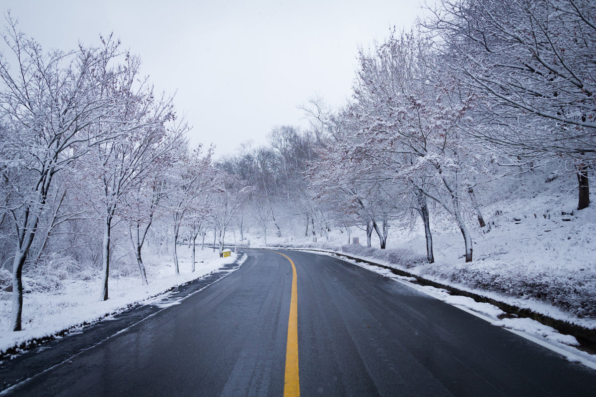 XXL Leinwandbilder Snow Road