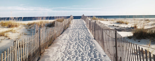 panorama-203  XXL Leinwandbilder inklusive Holzrahmen Strandweg Sanddünen Strandliebe Naturgenuss Urlaub Am Meer Küstenlandschaft Sommerfeeling Meeresrauschen Naturfotografie Traumstrand