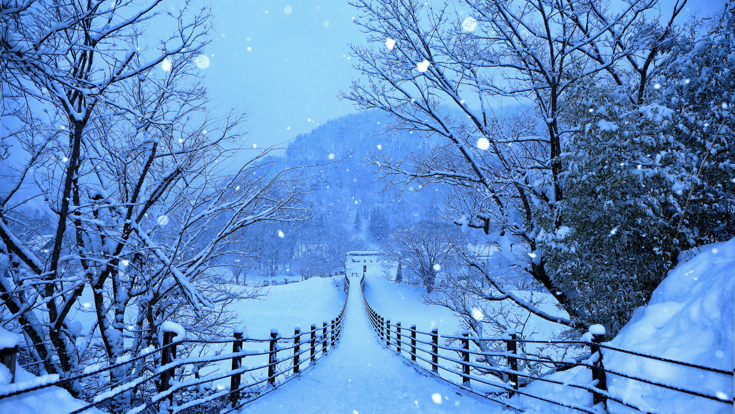 x560 XXL Leinwandbilder Schnee Landschaft im Winter Pflanzen Natur Kälte Frost Eis Blaue Idylle Abends- MEGA XXXL 160X90 CM Leinwandbilder inkl. Holzrahmen