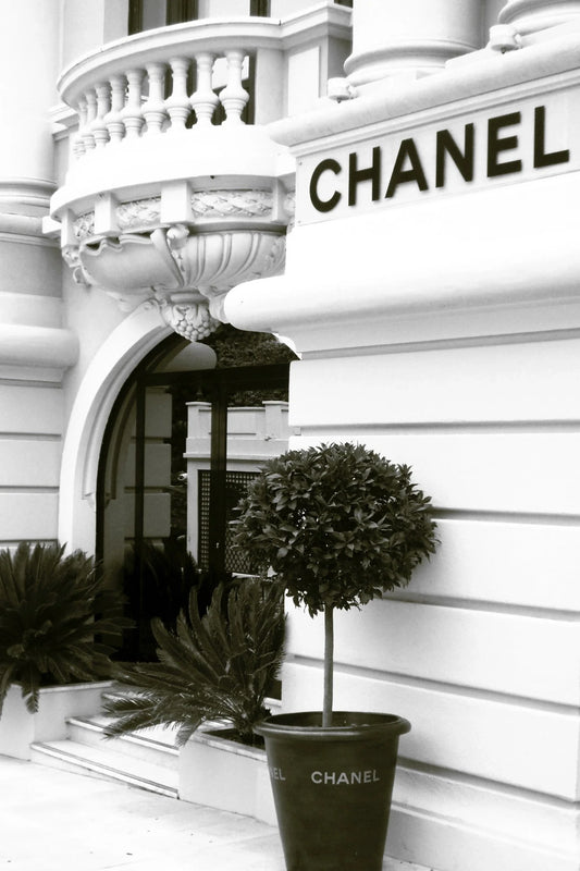 x594  XXL Leinwandbilder Chanel Boutique Store Shop Schwarz Weiß Mode Luxus Marken Fashion Blumentopf Pflanze Logo- MEGA XXXL 160X90 CM Leinwandbilder inkl. Holzrahmen