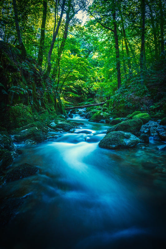 x617 XXL Leinwandbilder Wald Bach Grün Blau Wasserlauf Lichtung Dunkelheit Natur- MEGA XXXL 160X90 CM Leinwandbilder inkl. Holzrahmen