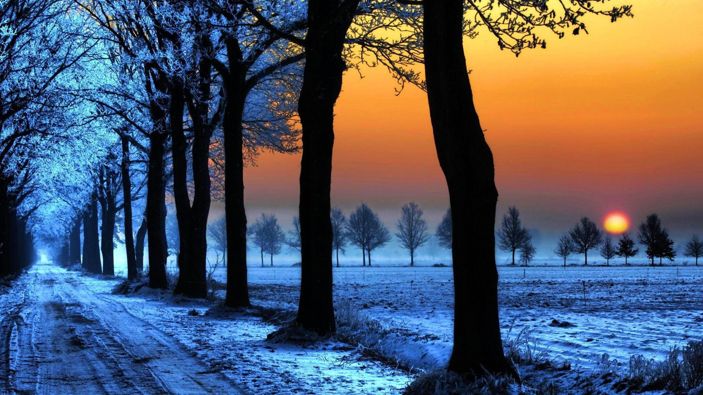 x657 XXL Leinwandbilder Winter Frost Allee Bäume Blau Orange Sonnenuntergang Himmel - MEGA XXXL 160X90 CM Leinwandbilder inkl. Holzrahmen