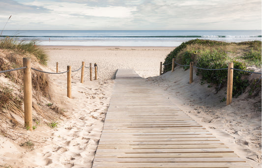 L247 - MEGA XXXL 160X90 CM Leinwandbilder inkl. Holzrahmen - DÜNE STEG OSTSEE NORDSEE NATUR BRAUN