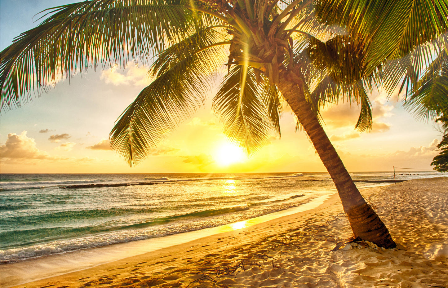 L47 - MEGA XXXL 160X90 CM Leinwandbilder inkl. Holzrahmen - PALME AM STRAND SONNE NATUR MEER