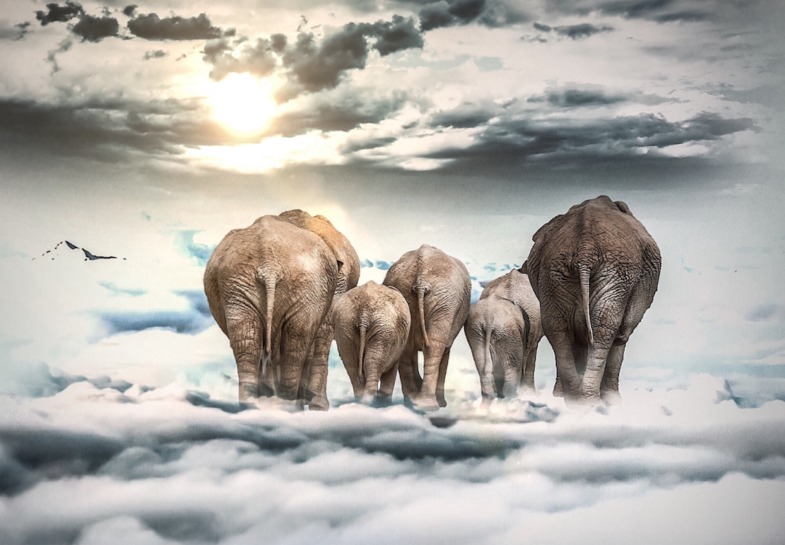 X2 - MEGA XXXL 160X90 CM Leinwandbilder inkl. Holzrahmen Malerei Zeichnung Handgemalt Afrikanische Elefanten Familie Wolken Himmel Safari Blau Rücken Braun Tiere
