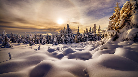 X202  - MEGA XXXL 160X90 CM Leinwandbilder inkl. Holzrahmen - In Schnee getauchte Bäume im Sonnenlicht Natur