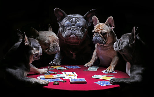 X207 - MEGA XXXL 160X90 CM Leinwandbilder inkl. Holzrahmen - Bulldoggen Hunde Poker Kartenspiel