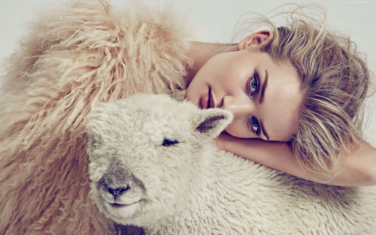 X216 - MEGA XXXL 160X90 CM Leinwandbilder inkl. Holzrahmen - Lama Süß Fell Mode Fashion Beauty