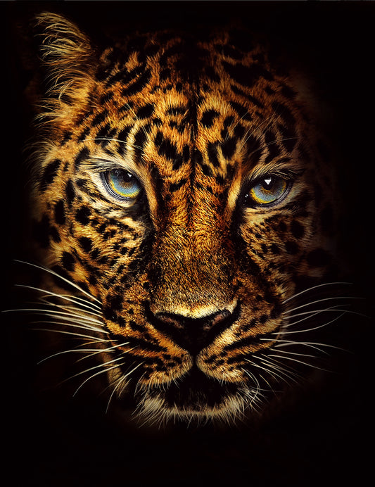 X324 - MEGA XXXL 160X90 CM Leinwandbilder inkl. Holzrahmen - Willkommen im Dschungel Jaguar Jumanji Tiere