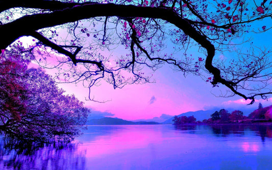 X92  -MEGA XXXL 160X90 CM Leinwandbilder inkl. Holzrahmen Traumhafter Herbst Morgen im Wald Blau Violett Lila Baum Natur See