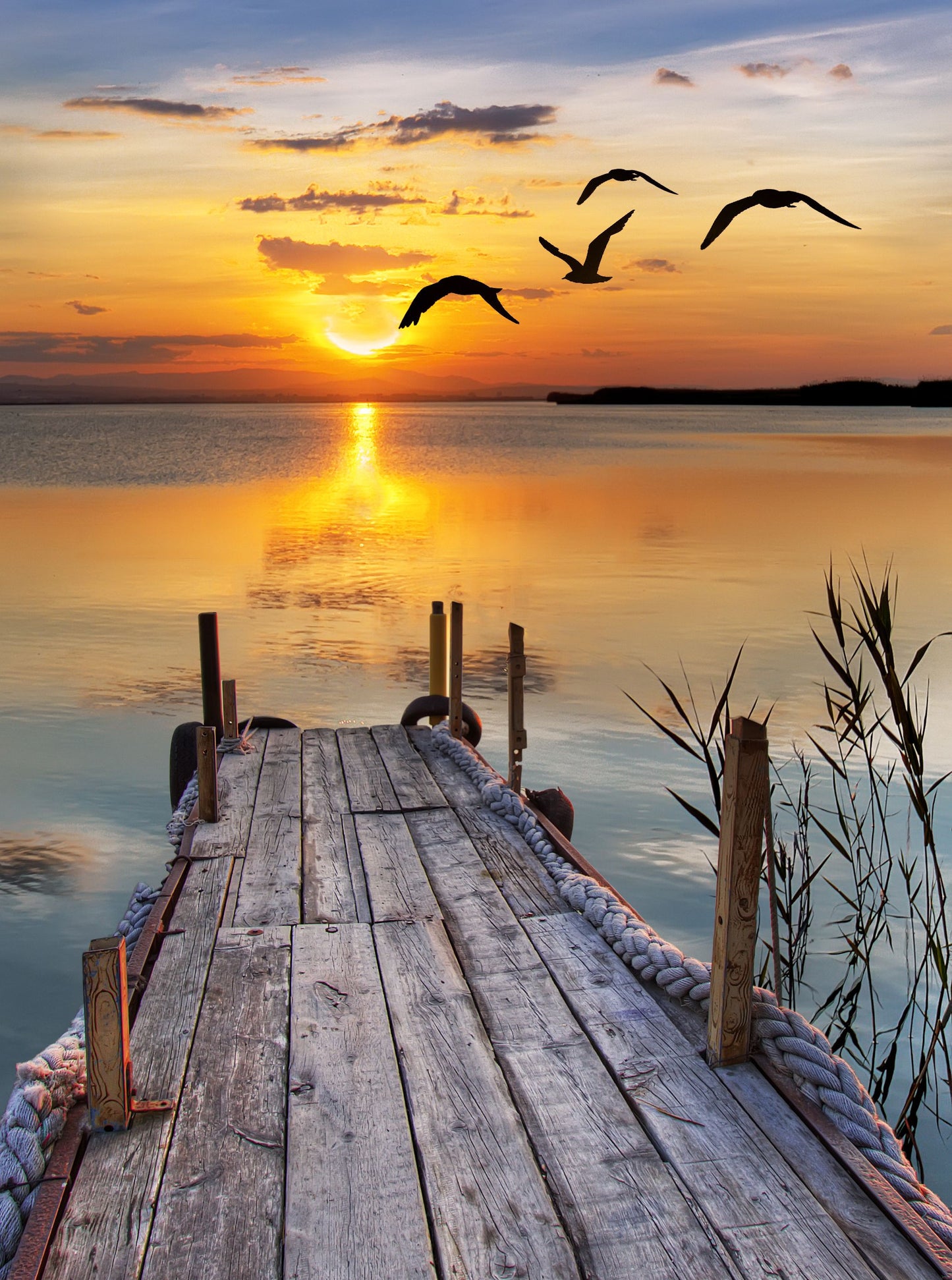 X93 -  - MEGA XXXL 160X90 CM Leinwandbilder inkl. Holzrahmen Idyllischer Tag am Ufer Natur Vögel Himmel Sonnenuntergang