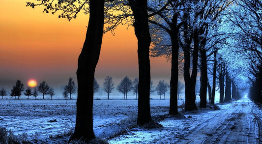X96 -  - MEGA XXXL 160X90 CM Leinwandbilder inkl. Holzrahmen Baum Wald Winter Eis Schnee Abend Dämmerung Blau Orange